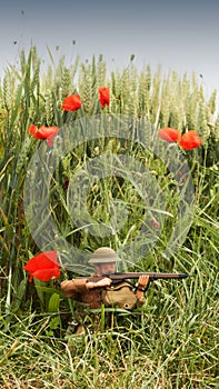 WW1 soldier in battlefield surrounded by poppies