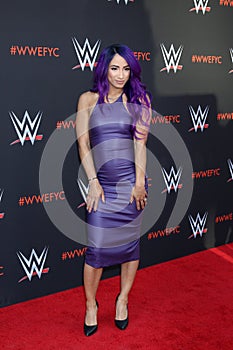 WWE For Your Consideration Event