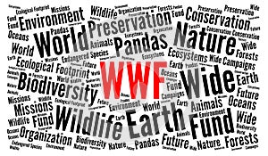 WWF word cloud concept