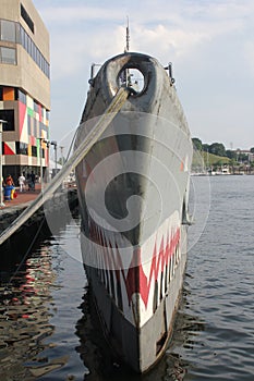 WWII Submarine USS Tarsk photo