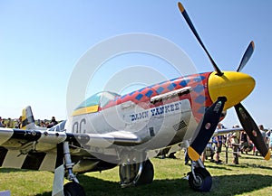 WWII WW2 Mustang Fighter Plane