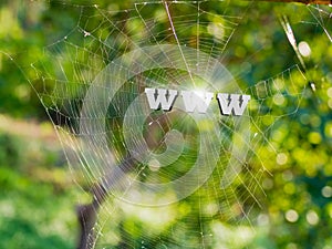 WWW 3d text on spider web, computer network and information online concept