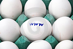 WWW on Egg