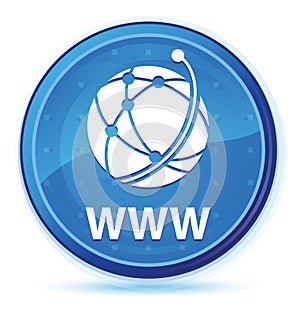 WWW (global network icon) midnight blue prime round button