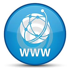 WWW (global network icon) special cyan blue round button