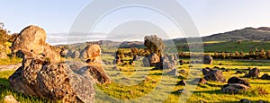 Wyangala rural landscape Panorama