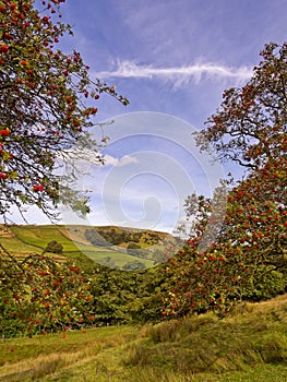 Wycollar country park