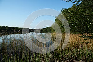 Wykeham Lakes, Scarborough, North Yorkshire