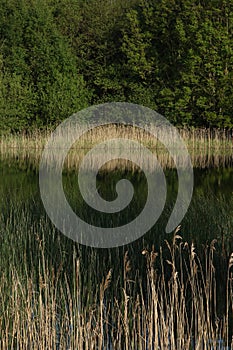 Wykeham Lakes, Scarborough, North Yorkshire