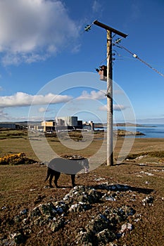 Wylva Head and nuclear power station
