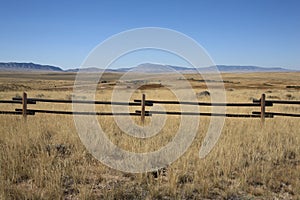 Wyoming Grassland