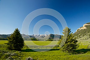 Wyoming Mountain Meadow
