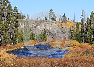 Wyoming: Yellowstone National Park - Gardner River in Autumn