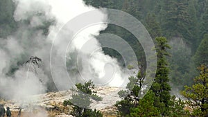 Wyoming, Yellowstone National Park  A wide view of Giantess Geyser at the North Geyser Basin in Yellowstone