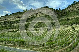 WÃ¼rzburg, Germany - Vineyard rockface