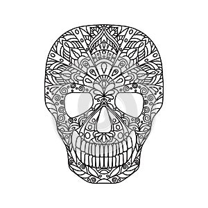 Skull. Black line vector illustration in doodling style isolated on white background.