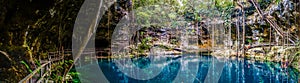 X`Canche Cenote cenote panorama, Yucatan peninsula, Mexico.