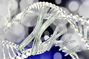 X chromosome against the background of DNA.