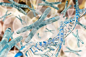 X chromosome against the background of DNA.