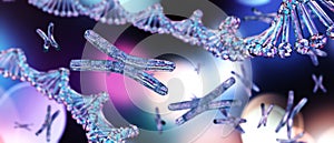 X chromosome and DNA