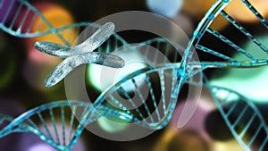 X chromosome and DNA photo