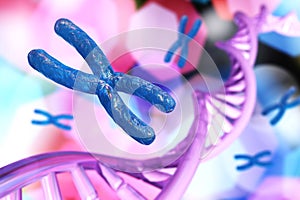 X chromosome, DNA