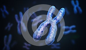 X Chromosomes with DNA molecules. Genetics concept. 3D rendered illustration