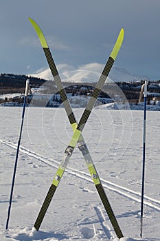 X-country ski winter sport concept