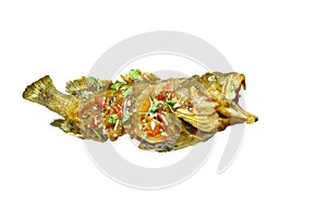 Deep fried blacktip grouper fish dressing sweet chili sauce on white background