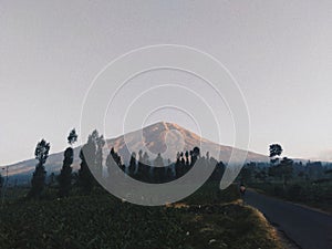 Dieng The land above the clouds