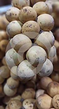 & x22;Kokosan& x22; tropical fruit