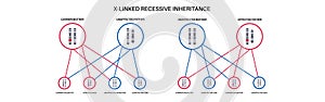 X linked recessive inheritance