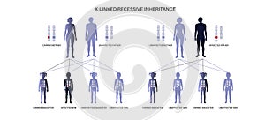 X linked recessive inheritance