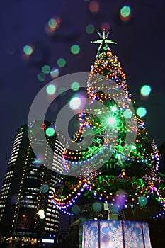 X-mas tree or Christmas tree with a holiday illumination at night in the city
