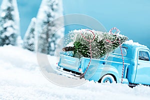 X mas tree truck photo