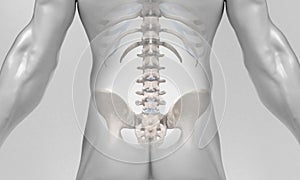 X-Ray body of lower spine on male body