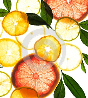 X-ray citrus fruits macro isolated orange lemon grapefruit leaf pattern