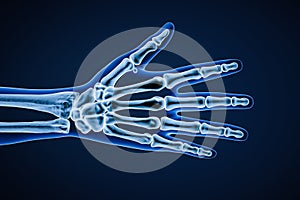 X-ray dorsal or posterior view of right human hand bones with body contours 3D rendering illustration. Skeletal anatomy, osteology