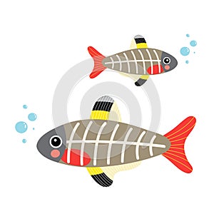 X-ray Fish animal cartoon character vector illustration