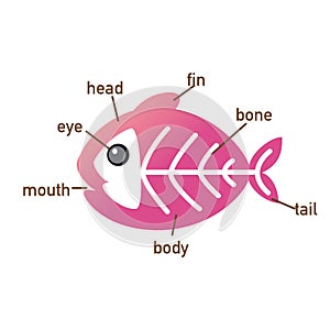 X-ray fish vocabulary part of body.vector