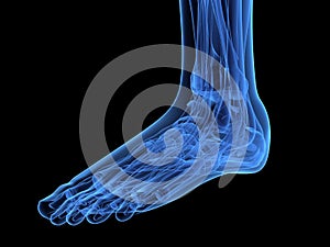 X-ray foot