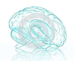 X-ray human brain in blue.