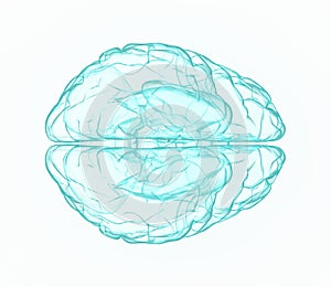 X-ray human brain in blue.