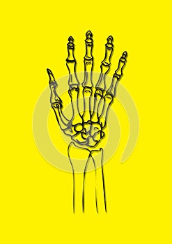 X-ray of human hand - vector