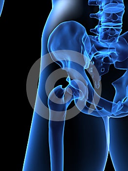 X-ray human hip