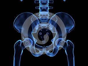 X-ray of a human hips