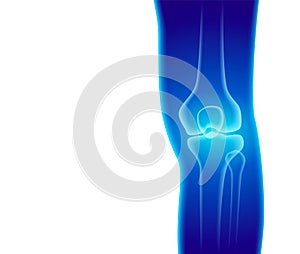 X-ray of human leg bones