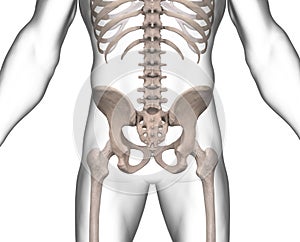 X-ray of human torso region on white male body