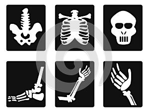 X ray icons
