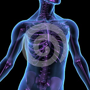 X-ray illustration male human body and skeleton